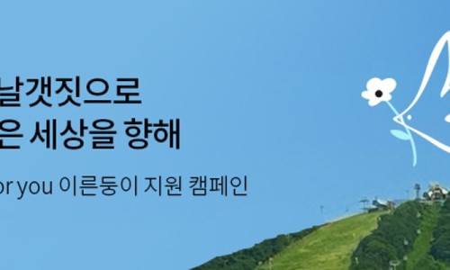 케이인큐베이터 이미지