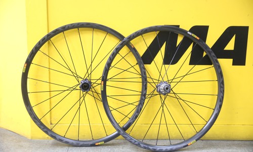 금천MTB 이미지
