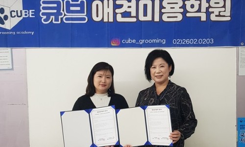큐브애견미용학원 이미지