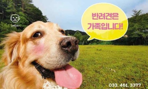 라이프위드도그 이미지
