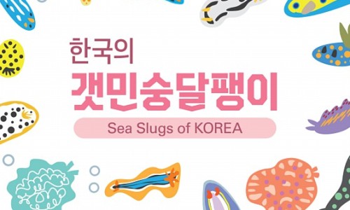 도시달팽이 이미지