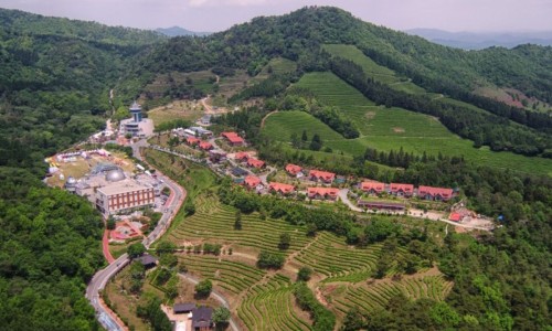 보성녹차리조트 이미지