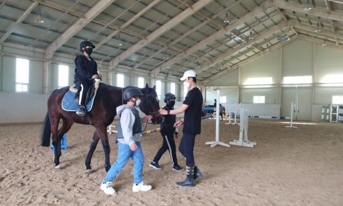 말보르승마장 이미지