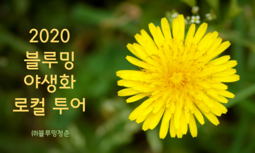 오마이투어 이미지