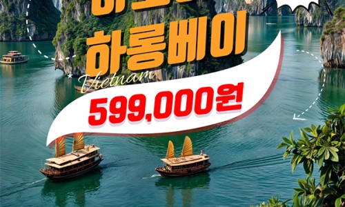 오렌지투어여행사 이미지