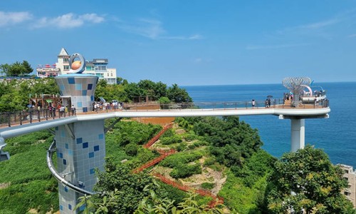 (재)동해문화관광재단 이미지
