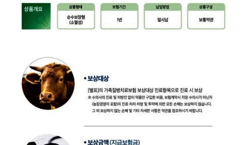 농가한우실비 이미지