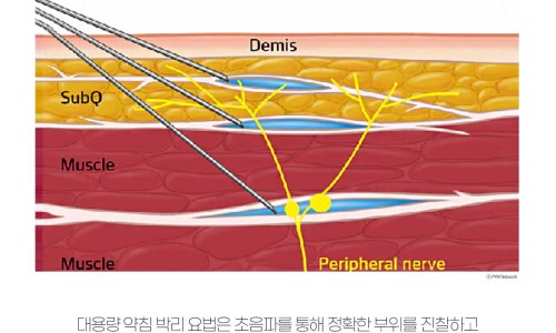 핌한의원 이미지