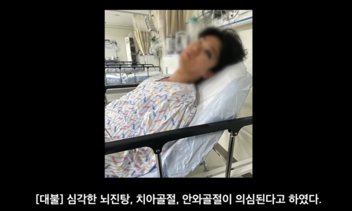돌고래사과 이미지