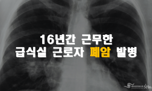 대한세이프티 이미지