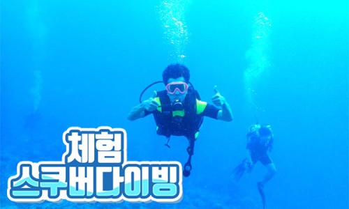 설레는체험세상 이미지