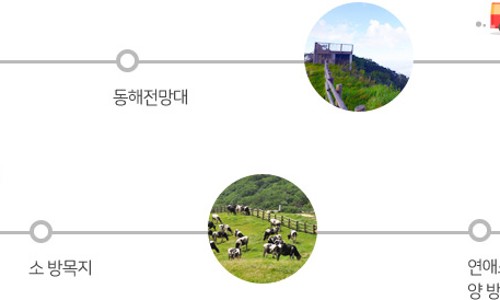 삼양식당 이미지