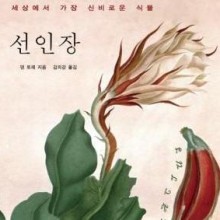 애완선인장 이미지