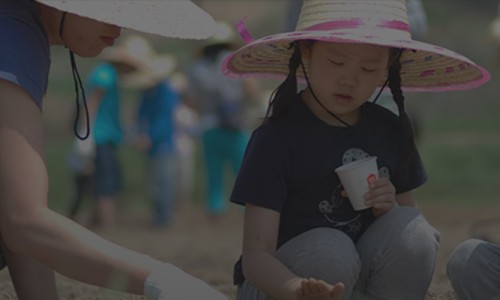 이장식품 이미지