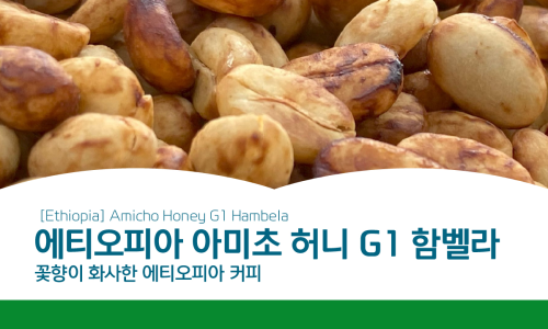 주식회사 벨라 이미지