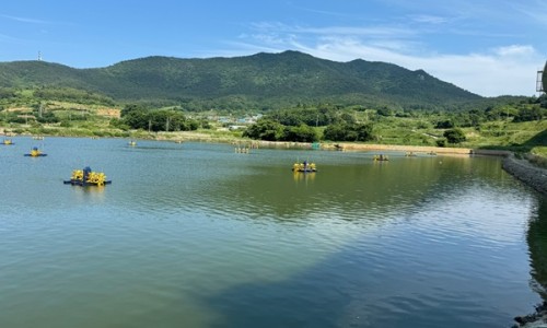 e조은축산 이미지