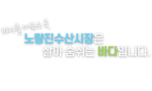 대일수산 이미지