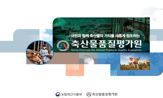 더레이아웃 이미지