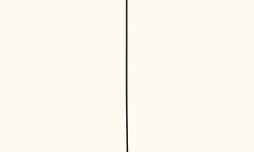 금조명 이미지