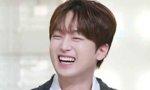 스타쿠킹 이미지