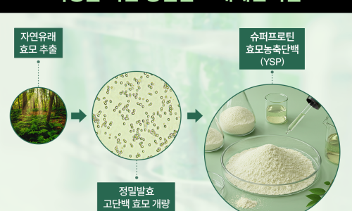 제이에스지 이미지