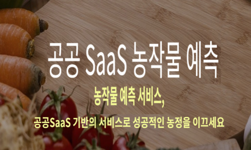 지디에스컨설팅 이미지