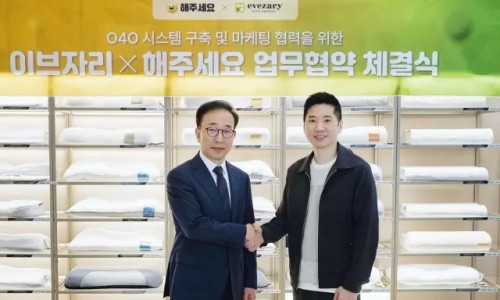 해온개발 이미지