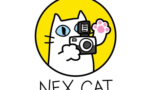 넥스페어 이미지