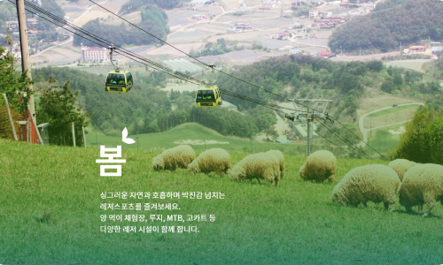 순자집곰치국 이미지