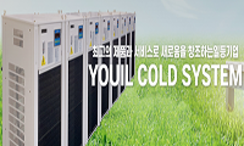 유일콜드 이미지