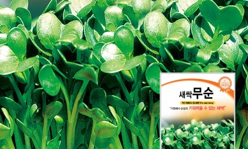 농업회사법인 새싹주식회사 이미지
