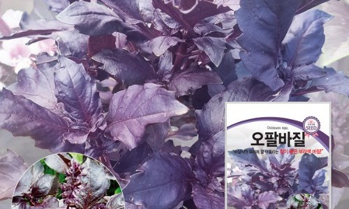 (주)허브잇 이미지