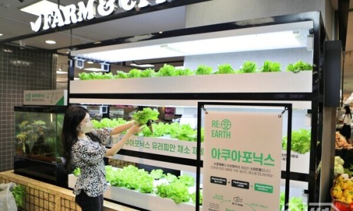 신선슈퍼 이미지