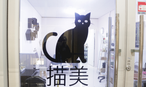온천장고양이 이미지
