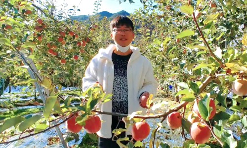 밀양얼음골김치 이미지
