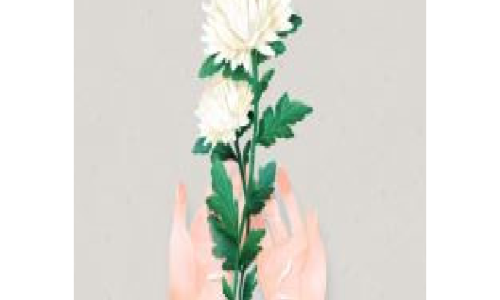순수상조 이미지