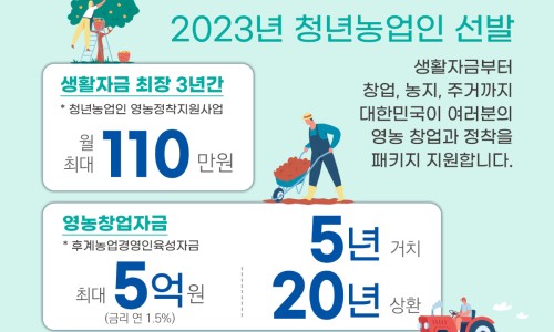 청년의 꿀 이미지