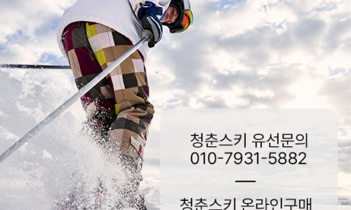 청춘스키샵 이미지