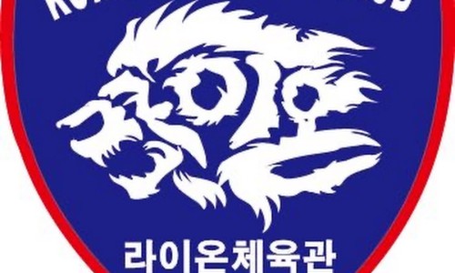 라이온체육관 이미지