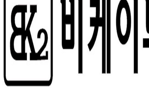 비케이렌트카 이미지
