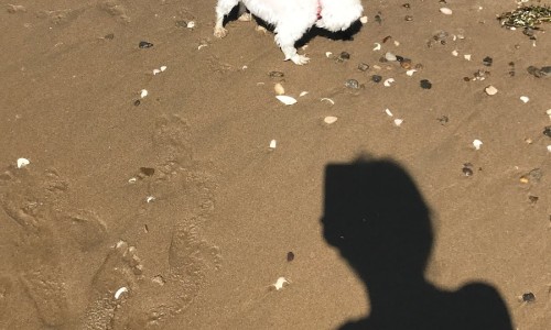 변산도예 이미지