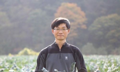 시골미디어 이미지