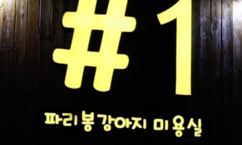 김하나 미용실 이미지