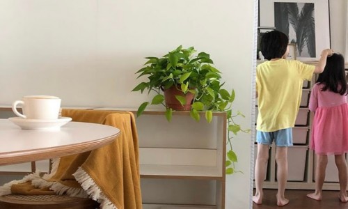 즐거운집 이미지