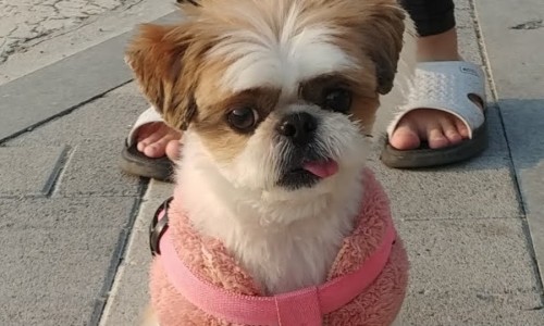 함께짐 이미지
