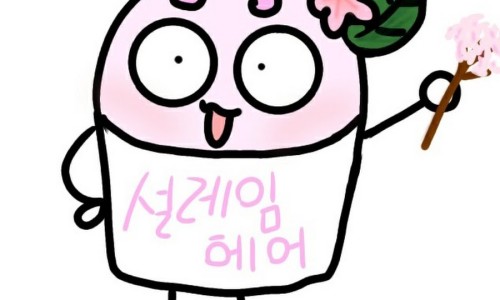 설레임헤어 이미지