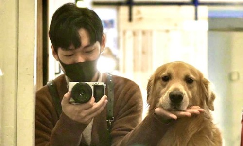 트래블카페 이미지