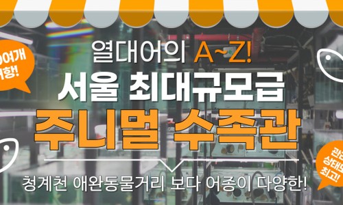 중앙수족관 이미지