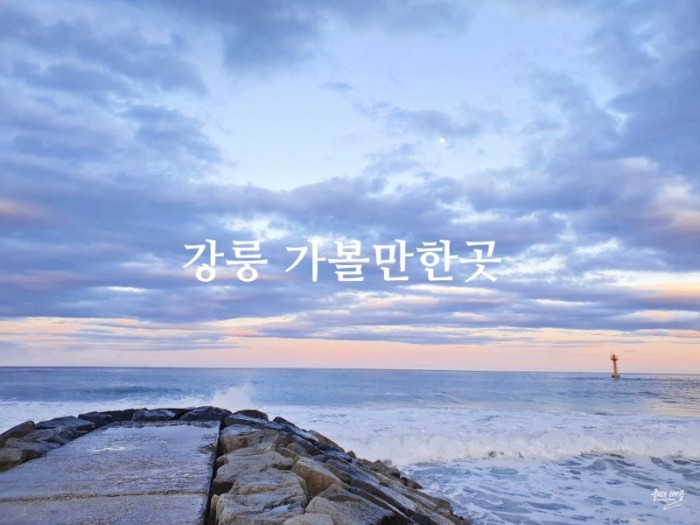 곳 사진