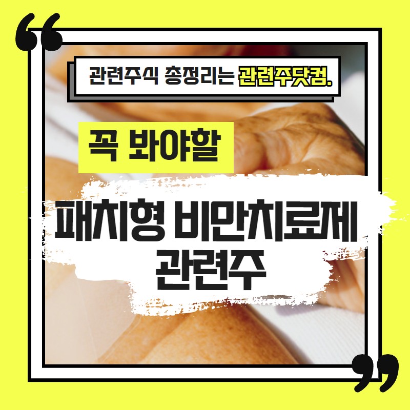 패치형 비만치료제 관련주 TOP2(업데이트) | 대장주, 테마주 | 앞서가는주식채널
